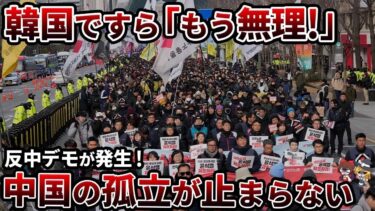 【総集編】世界中で反中暴動勃発、嫌われる中国特集【ゆっくり解説】