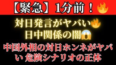🔴【衝撃分析】対日発言がヤバい🔥日中関係の闇😱 中国外相が語った日本への本音がヤバすぎる 日中関係の裏で進む危険なシナリオの正体