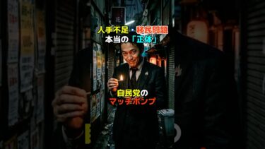 移民問題・人手不足は自民党が作ってきたマッチポンプ政治／#人手不足#移民問題 #外国人労働者 #103万円の壁 #社会保険の壁