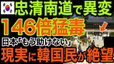 【海外の反応】もう助けない！日本の“無言”がK国に突きつけた現実ｗｗｗ