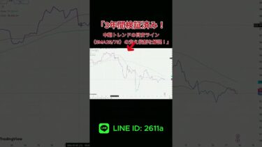 【悲報】日本の半導体、復活の兆しも中国の追撃がヤバすぎる…この差はどこにある？