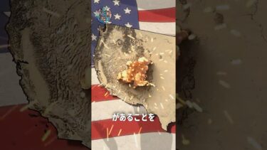 米国を攻撃したのに許された国 #地政学 #歴史 #ゆっくり解説  #中東