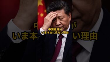 中国経済がいま本当に危ない理由#shorts  #国際ニュース#中国