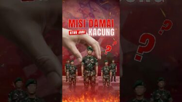 Menakar Misi TNI ke Gaza