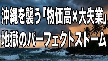 沖縄を襲うインフレとAI失業の衝撃：地価高騰の裏に隠された残酷な真実と生存戦略