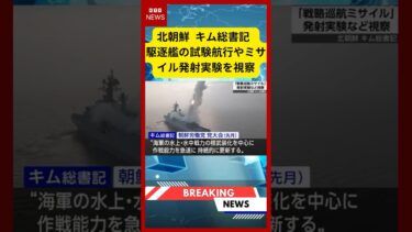 【速報】北朝鮮 キム総書記 駆逐艦の試験航行やミサイル発射実験を視察  (2026年3月6日）#ニュース #金正恩 #ミサイル発射