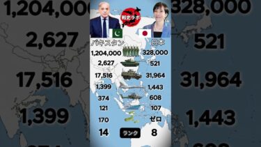 パキスタン vs 日本——この差、どう見る？ #北朝鮮 #ミリタリー #軍事力比較 #日本史