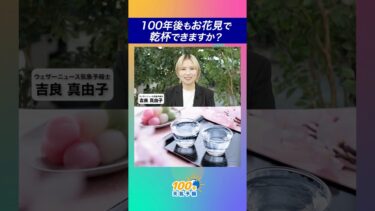 【100年天気予報】~2分でわかる~ 山田錦の危機、100年後もお花見で乾杯できますか？ #通勤タイパ #気候変動 #学び