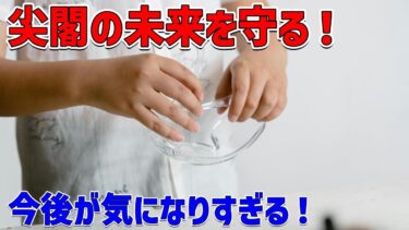 「尖閣諸島を守る高市早苗：日本の安全保障最前線」