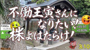 ガラスの階段駆け上るFANG+　半導体も戻してきたぞ　戦争ほぼ終息とトランプ大統領発言で原油が大きくさげて、市場も反発です！【米国株ニュース、新NISA攻略！FANG+S&P500=❤️】
