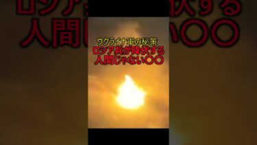 ウクライナ軍が戦争の○○を覆す！ロシア軍が恐れる兵器 #軍事 #ミリタリー