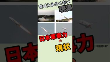 日本軍事力の現状#静かな安全保障 #行政のリアル #防衛の現実