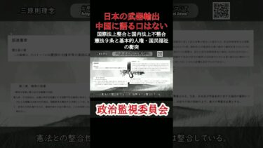 日本の武器輸出中国に語る口はない #安全保障 #政治経済 #防衛装備移転