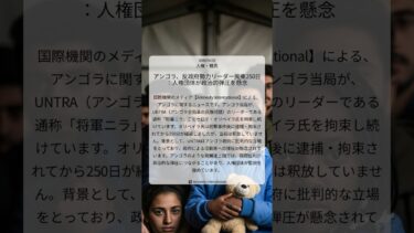 アンゴラ、反政府勢力リーダー拘束250日：人権団体が政治的弾圧を懸念｜Amnesty International｜2026/04/02｜人権・難民
