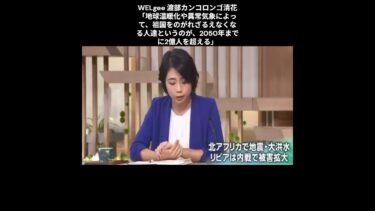 WELgee 渡部カンコロンゴ清花「地球温暖化や異常気象によって、祖国をのがれざるえなくなる人達というのが、2050年までに2億人を超える」