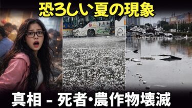 【真相解明】習近平政権が隠す「華南異常気象」…2026年3月、なぜこれほど凄まじいのか？