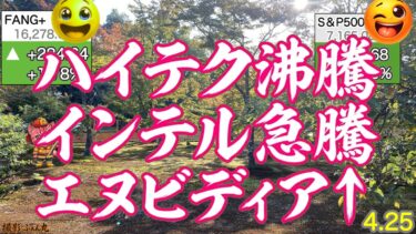 強い半導体、NVIDIA最高値更新！USTechTop20最高値更新近づくFANGも今月いけるぞ。インテル決算成功、強気見通しでハイテク全部あげ！ゴールドジリあげ【米国株ニュース 新NISA攻略】
