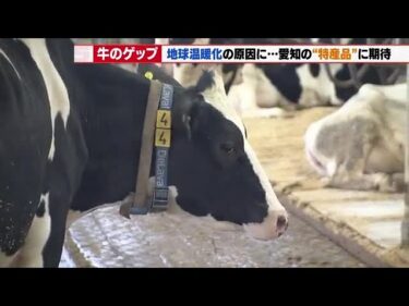 2～3分に1回出る「牛のげっぷ」実は地球温暖化の原因の1つ　救世主は愛知県の特産品「ギンナン」 (2026年4月8日)