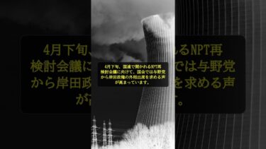 【知らないと損】NPT会議で日本が取り残される？与野党が外相派遣を要求する真意 #shorts