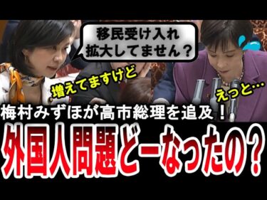 【梅村みずほが追及！】高市総理も動揺？外国人問題について移民受け入れ意を拡大していると指摘する参政党の梅村みずほ議員【手軽に国会中継】