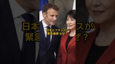 日本とフランスが緊急連携　なぜ？　#shorts  #国際ニュース#フランス