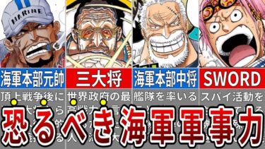 世界最大戦力！海軍本部の軍事力がヤバすぎる…組織構造と戦力を完全解説！