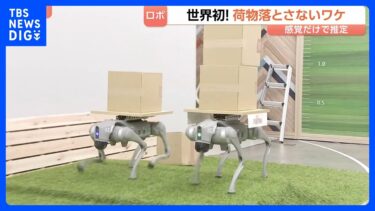 AIロボット 富士通が実験施設公開　世界初！荷物を落とさないワケ“感覚だけで推定”　中国ロボは速いけど…日本の強みは“考える力”｜TBS NEWS DIG