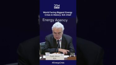 “WE WERE RIGHT”: Birol Says IEA Warnings of Economic Collapse are Coming True |