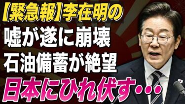 【絶望の迷宮】消えたエネルギー備蓄…日本が突きつけた「非情な条件」の正体