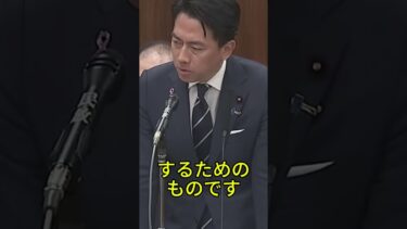 国会での質疑が波紋、中国軍事力を巡る発言に賛否 #日本 #政治 #ニュース #国会 #議論