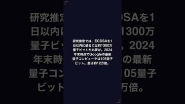 105量子ビットvs1300万量子ビット