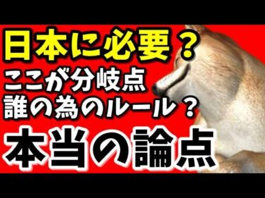 【多文化共生】これって本当に必要？国際化 vs 日本の基準、フィフィ氏の空港礼拝スペース問題の論点かコチラ