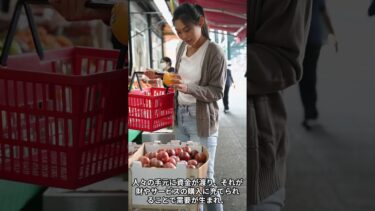 国債発行はインフレを招くのか？その真実　#shorts #政治 #経済 #shortmovie #国債 #インフレ #日銀 #金融緩和 #積極財政