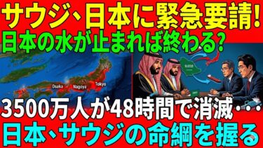 【海外感動】サウジが涙の絶賛「日本がなければ終わっていた」3500万人を救った神技術に世界が震えた理由