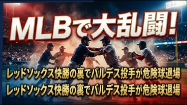 【国際 スポーツ】MLBで大乱闘！レッドソックス快勝の裏でバルデス投手が危険球退場