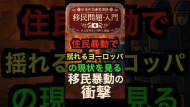 【移民問題9】フランス・スウェーデン：移民暴動の背景｜統合の失敗が招いた炎 #移民問題 #フランス暴動 #スウェーデン #社会統合 #日本の未来