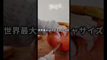 もはや異常気象はホラー #雑学＃ヒョウ＃気象 #豆知識