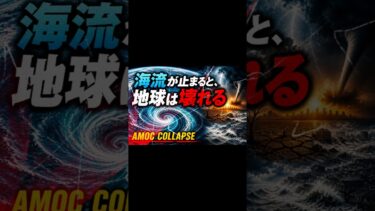 海流が止まると、地球は壊れる｜AMOC崩壊の真実　What Happens If Ocean Currents Stop?  AMOC
