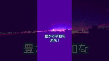 今を生きる私達には、日本の未来に責任がある！【★移民政策反対チラシ版】日本第一党 #日本第一主義 #移民政策反対 #shorts