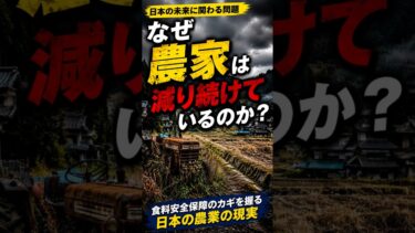 【地政学】なぜ日本の農家は減り続けるのか？食料安全保障の知られざる現実 #shorts