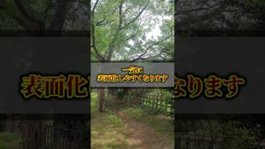 【異常気象】スーパーエルニーニョ現象があなたのお家を破壊する！？知っておくべきリスクと対策  #スーパーエルニーニョ現象 #家の問題  #屋根修理
