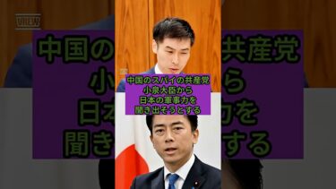 中国のスパイの共産党、小泉大臣に日本の軍事力を聞き出そうとする #viral #政治 #shorts  #ニュース