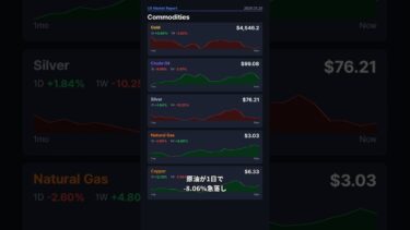 S&P 500 $7,433.0 (+1.08%) | 85上昇·31下落 #Shorts