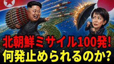 北朝鮮が100発同時発射したら日本は何発止められるのか？イージス全8隻の本当の実力