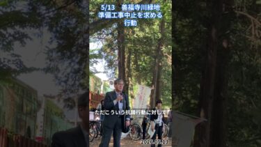 弁護士の解説「東京都の人権侵害に対して抗議するのは、当然の人権上の権利です」