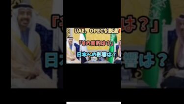 UAE、OPECを脱退‼️「その目的は❓」日本への影響は❓#政治 #経済  #uae #opec #国際ニュース