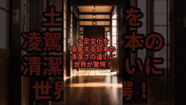 世界が驚愕！土足文化を凌駕する日本#海外の反応 #shorts #日本
