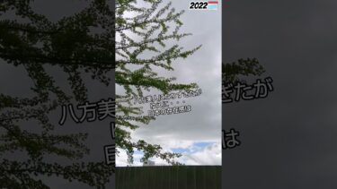 世界アメリカ日本ロシア外国問題ランチNEWS経済社会TVニュースおすすめショート動画アイドル桜井誠先生short旅行#おすすめ#政治#桜井誠#news
