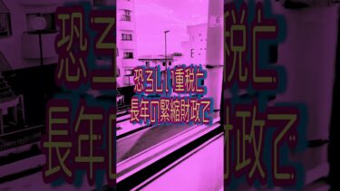 移民政策や自由貿易協定により、国境や国籍が無きものにされ、重税と長年の緊縮財政で、国民も国家もボロボロ…。必要なのは日本第一主義！ 日本第一党 #日本第一主義