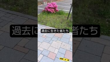 世界歴史知識トラベラー学生スクールおすすめトレンド桜井誠先生ショート動画short地震tiktok#youtubeshorts#政治#tiktok#トレンド#news#おすすめ#桜井誠#shorts